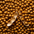 Какой продукт наиболее эффектно противостоит морщинам? Соевые бобы!